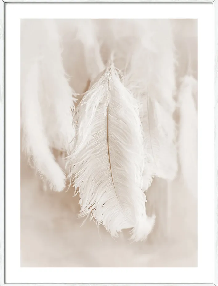 PRO ART Framed-Art Bild THE FEATHER II 33 x 43 cm weiß