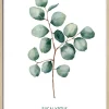PRO ART Slim-Scandic Bild DIFFERENT EUCALYPTUS BRANCHES II 43 x 33 cm Rahmen mehrfarbig