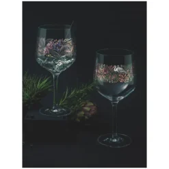 RITZENHOFF Gin-Kelch SCHATTENFAUNA I M. ENTERRIOS 2er Set