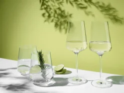 RITZENHOFF Wasser- und Weißweingläser-Set LICHTWEISS 12-teilig Kristallglas