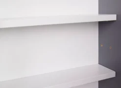 Sammlervitrine HENDRIK 80x60x9,5 cm Grau/Weiß