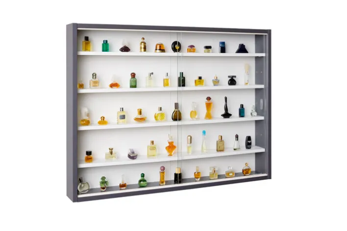 Sammlervitrine HENDRIK 80x60x9,5 cm Grau/Weiß
