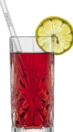 SCHOTT ZWIESEL Glastrinkhalm-Set 5-teilig 21 cm