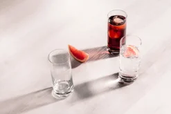 SCHOTT ZWIESEL Schnapsglas SIMPLE 6er Set 46 ml