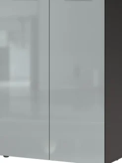 Schuhschrank LEVIN 87 x 120 cm Glasfront Silbergrau/Graphit