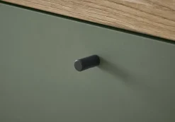 Sideboard ALVA 107 x 83 cm Salbeifarbig/braun