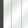 Spiegelschrank LIVORNO I anthrazitgrau