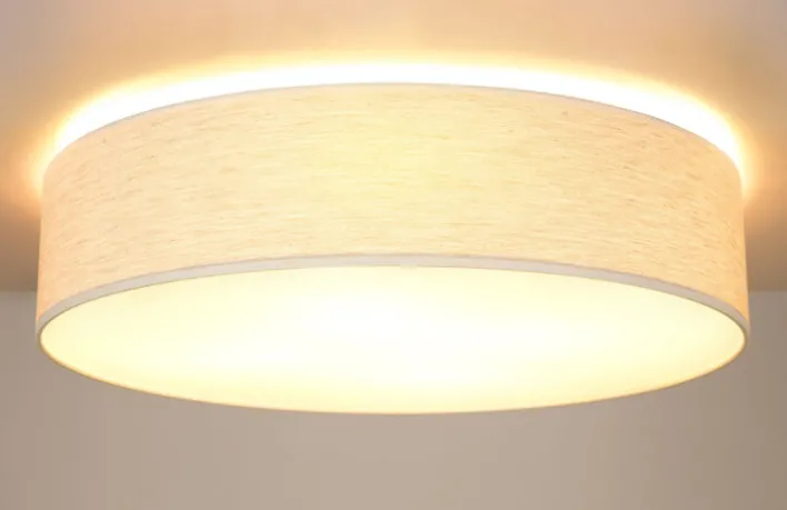 SPOT LIGHT Retrofit Deckenlampe BELOS Eiche /natur