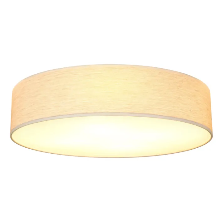 SPOT LIGHT Retrofit Deckenlampe BELOS Eiche /natur