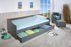 Stauraum-/Funktionsbett LORENZ 90 x 200 cm grau