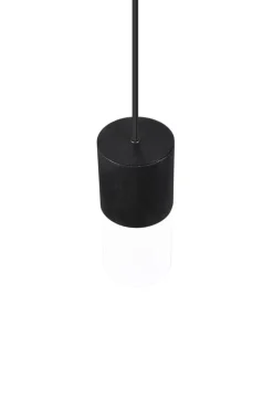 TRIO Retrofit Pendelleuchte ROBIN X 1-flg schwarz