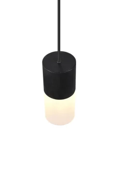 TRIO Retrofit Pendelleuchte ROBIN X 1-flg schwarz