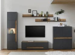 Vitrine CITY 50 x 200 cm Anthrazit/Wotan Eiche Dekor