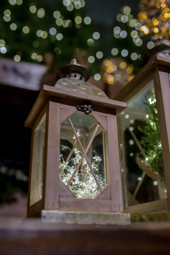 Weihnachten Lichterbündel 48 Micro LEDs WW