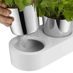 WMF Kräutergarten 3-teilig Edelstahl silberfarbig