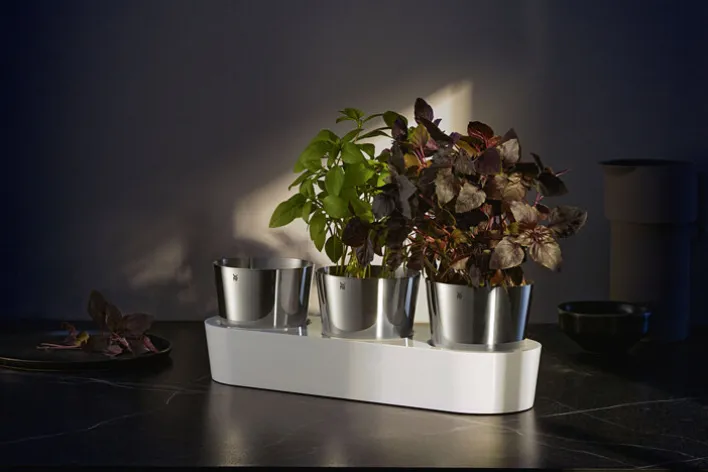 WMF Kräutergarten 3-teilig Edelstahl silberfarbig
