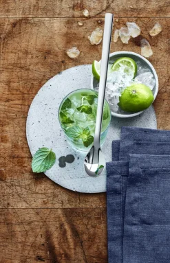 WMF Longdrinklöffel Set NUOVA NEU 6-teilig silberfarbig