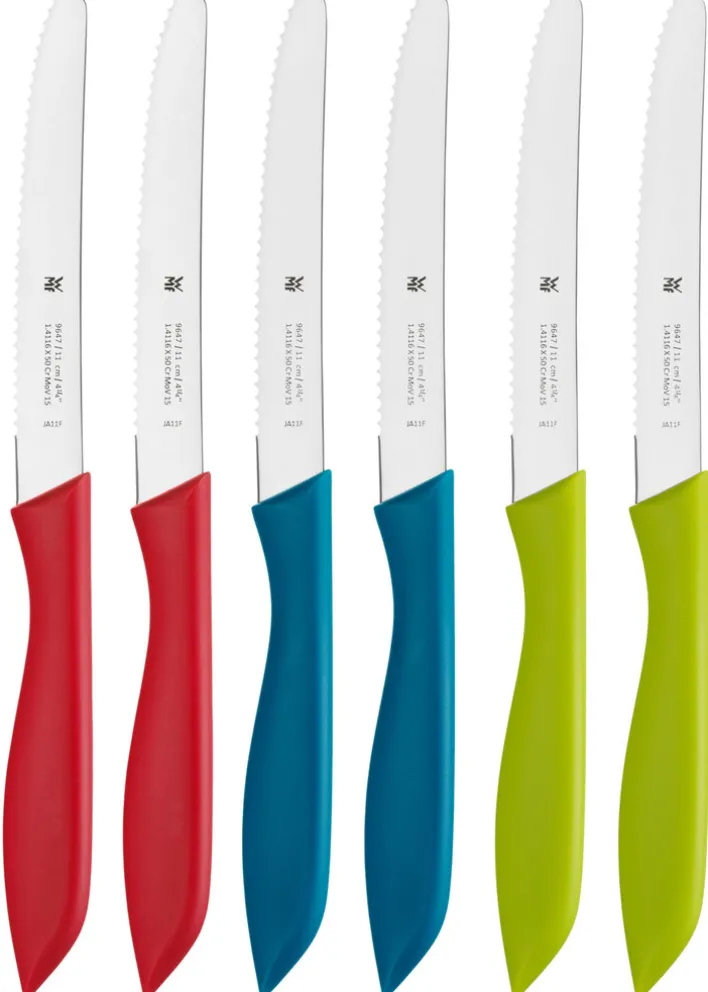 WMF Messerset 6-teilig mehrfarbig