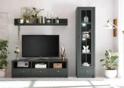 Wohnkombi A1 ASCOT 3-teilig 230x198 cm grün